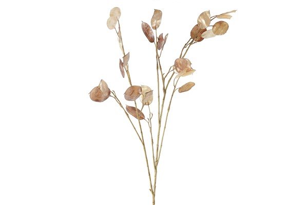 Kunstbloem Mombello lunaria biennis bruin, 93 cm